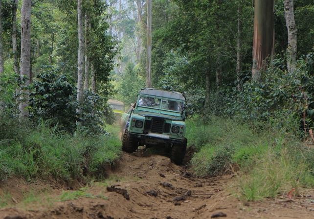 Offroad (3)